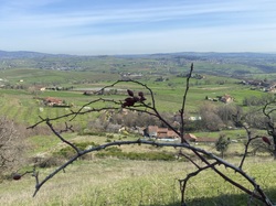  <a style='color: #fff;' href='/uploaded/photo/st-romain-de-popey-65fb09cec6ace.jpg'>(Télécharger)</a>