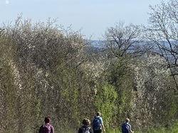  <a style='color: #fff;' href='/uploaded/photo/st-romain-de-popey-65fb09f109628.jpg'>(Télécharger)</a>