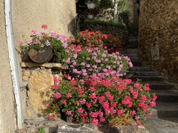  <a style='color: #fff;' href='/uploaded/photo/ternand-64d4ecec174be.jpg'>(Télécharger)</a>