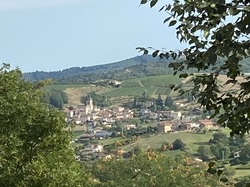  <a style='color: #fff;' href='/uploaded/photo/ternand-64d4ecfe4f1fc.jpg'>(Télécharger)</a>