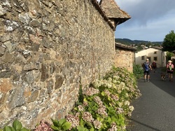  <a style='color: #fff;' href='/uploaded/photo/ternand-64d4ed0eb6670.jpg'>(Télécharger)</a>