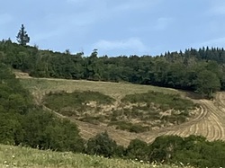  <a style='color: #fff;' href='/uploaded/photo/ternand-64d4ed2f181a1.jpg'>(Télécharger)</a>