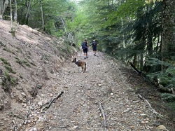  <a style='color: #fff;' href='/uploaded/photo/ternand-64d4ed45146c7.jpg'>(Télécharger)</a>