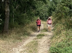  <a style='color: #fff;' href='/uploaded/photo/ternand-64d4ed64453b1.jpg'>(Télécharger)</a>