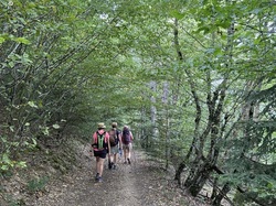  <a style='color: #fff;' href='/uploaded/photo/ternand-64d4ed7ae4f30.jpg'>(Télécharger)</a>