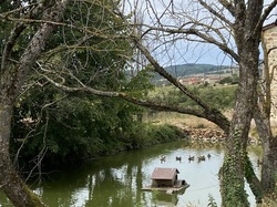  <a style='color: #fff;' href='/uploaded/photo/ternand-64d4ed8bab195.jpg'>(Télécharger)</a>