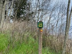  <a style='color: #fff;' href='/uploaded/photo/theize-65df812d26248.jpg'>(Télécharger)</a>