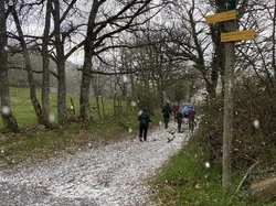  <a style='color: #fff;' href='/uploaded/photo/thurins-6438366850288.jpg'>(Télécharger)</a>