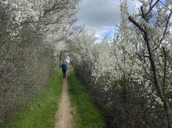  <a style='color: #fff;' href='/uploaded/photo/thurins-64383a4fe86aa.jpg'>(Télécharger)</a>