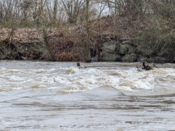  <a style='color: #fff;' href='/uploaded/photo/try-voux-st-bernard-6756e4de83ec5.jpg'>(Télécharger)</a>