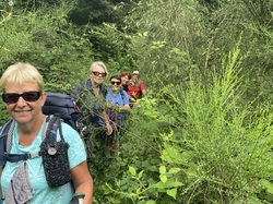  <a style='color: #fff;' href='/uploaded/photo/virigneux-668500fd50fcb.jpg'>(Télécharger)</a>